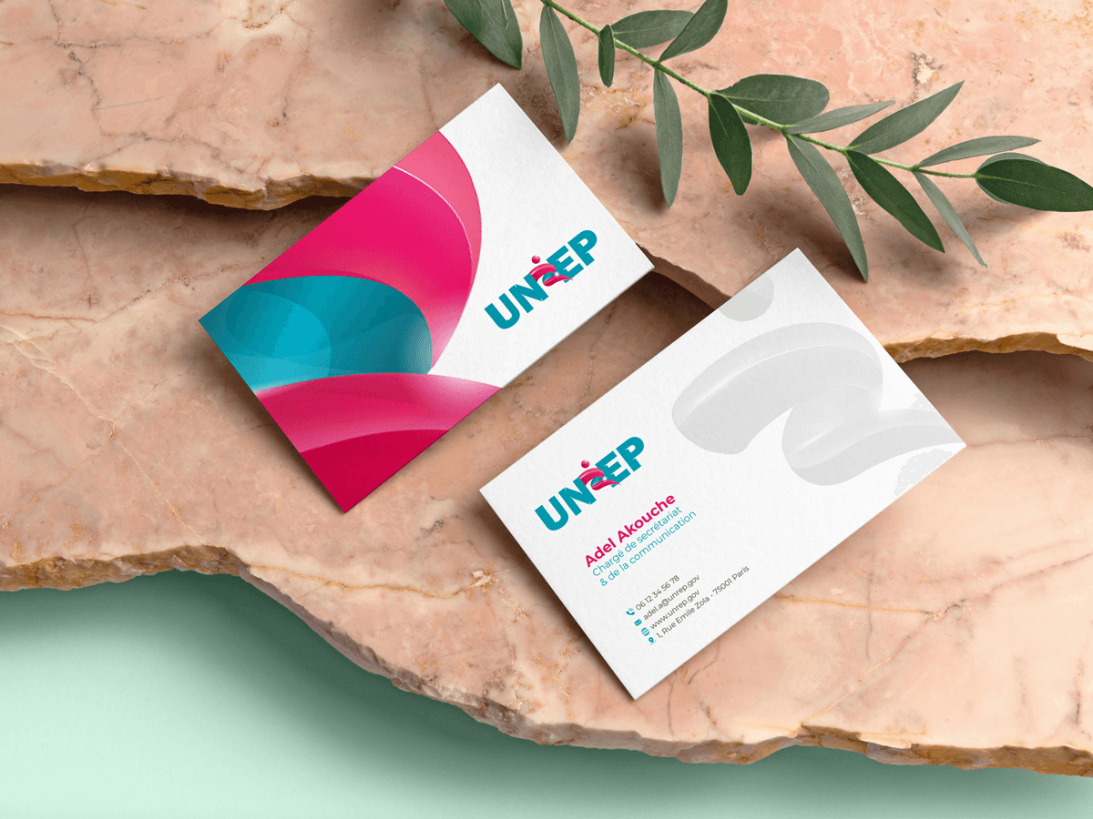 Cartes de visite UNREP fuchsia et bleu