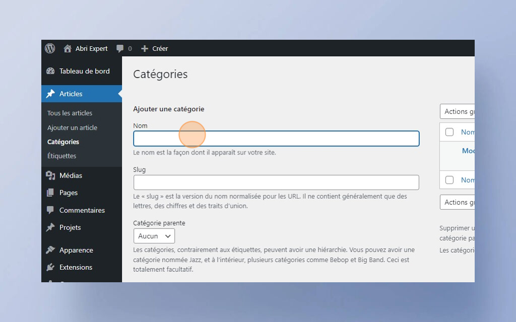 06. Créer une nouvelle catégorie Wordpress sur votre site -