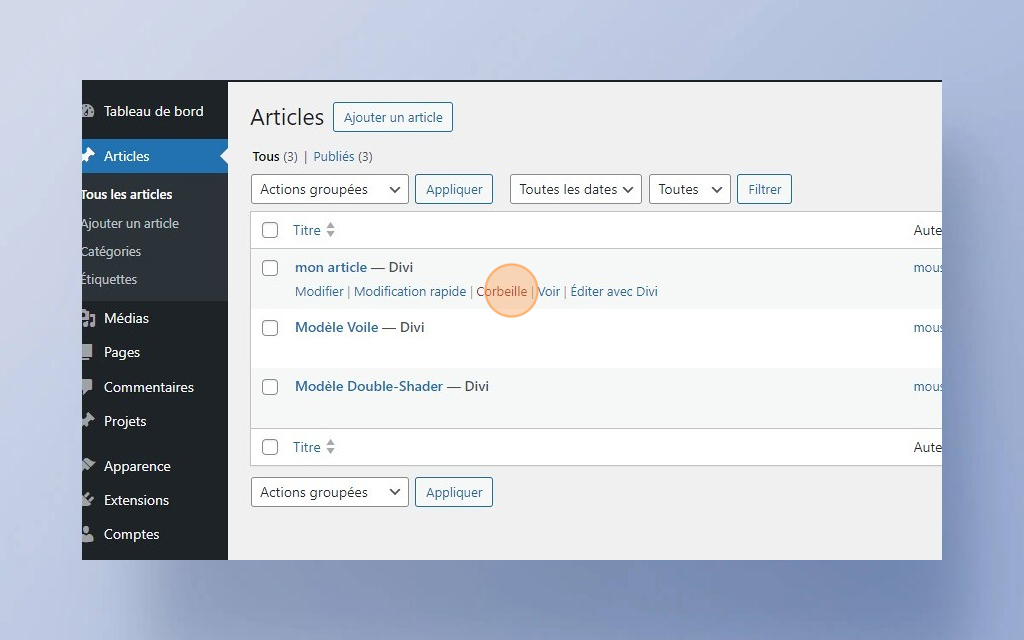 07. Créer, modifier et supprimer un Article Wordpress -