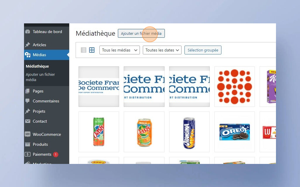 05. Ajouter et sélectionner des fichiers dans la bibliothèque multimédia de WordPress -