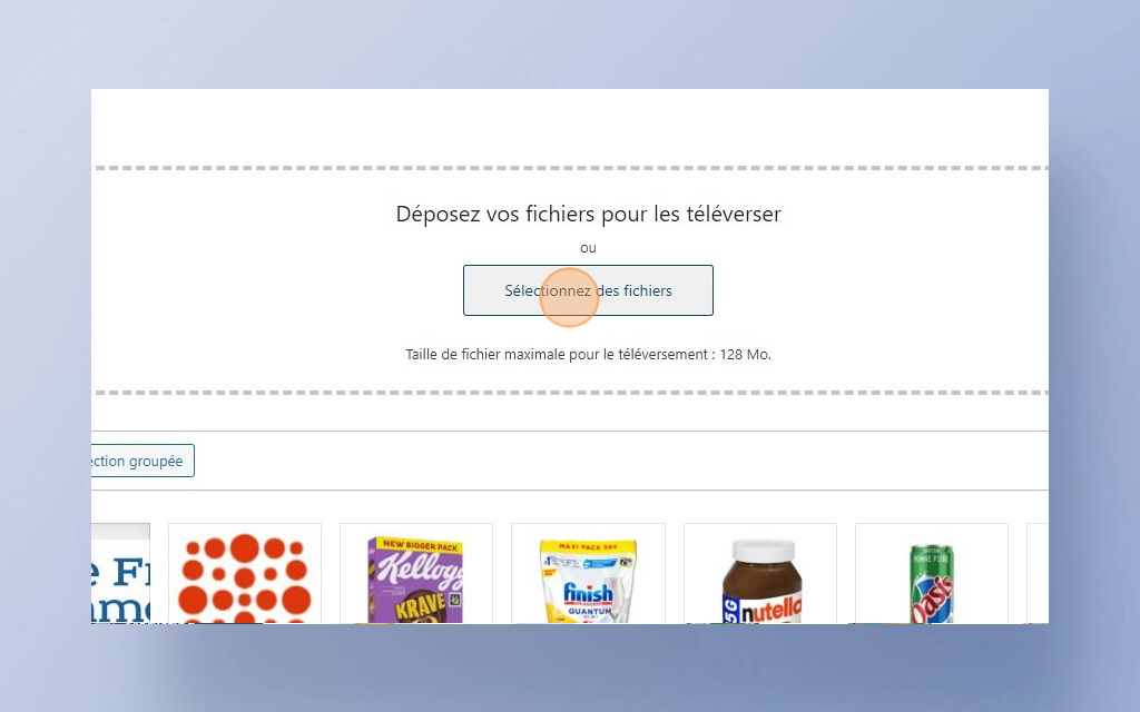 05. Ajouter et sélectionner des fichiers dans la bibliothèque multimédia de WordPress -