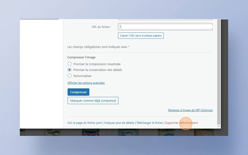 05. Ajouter et sélectionner des fichiers dans la bibliothèque multimédia de WordPress -